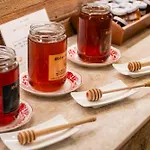 Hotel-restaurant Les Bas-rupts, Singuliers 호텔