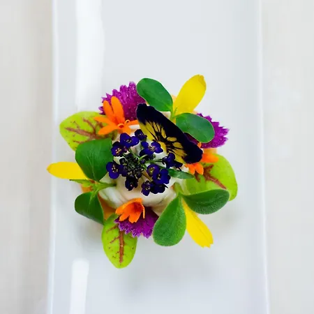 Hotel-restaurant Les Bas-rupts, Singuliers 4* جوراردُميه