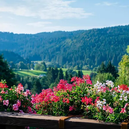 Hotel-restaurant Les Bas-rupts, Singuliers Hotel 4*