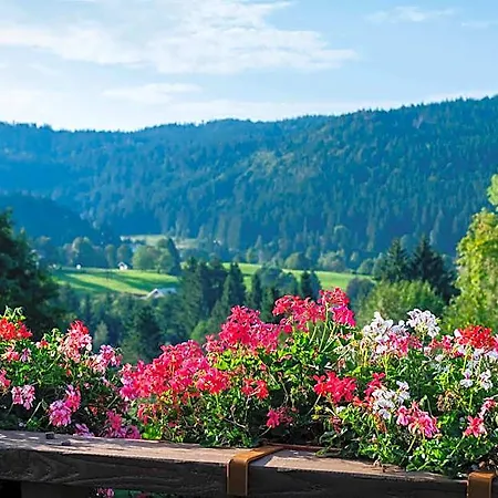 Hotel-restaurant Les Bas-rupts, Singuliers 4*